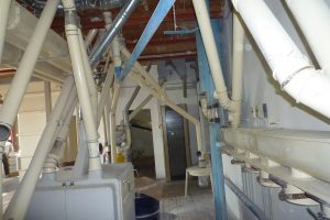 P1000687